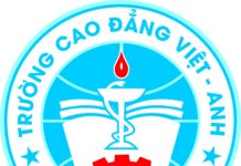 Trường Cao đẳng Việt Anh