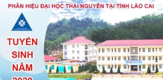 Phân hiệu Đại học Thái Nguyên tại Lào Cai – ĐH TN
